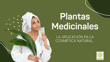 2. Plantas medicinales: la aplicación en la cosmética natural.
