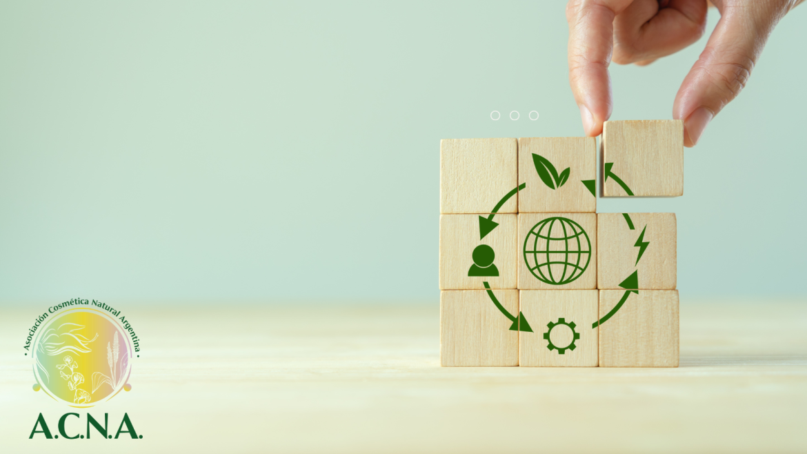Belleza circular: la Cosmética que regenera la piel y el planeta