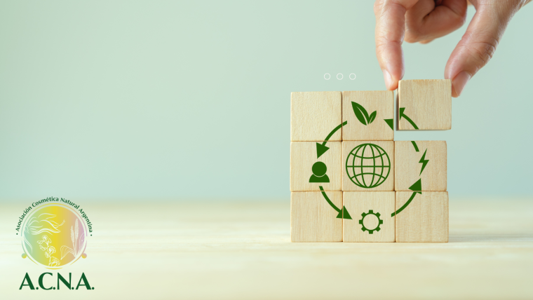Belleza circular: la Cosmética que regenera la piel y el planeta